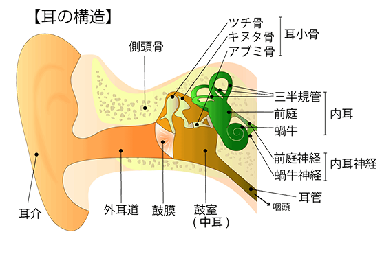 難聴について